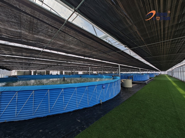 水体恒温稳收益！空气能热泵赋能工厂化水产养殖